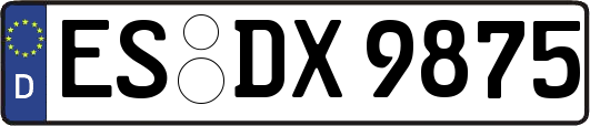 ES-DX9875