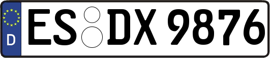 ES-DX9876