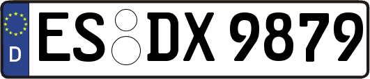 ES-DX9879