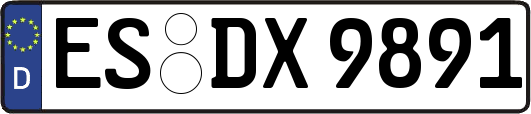 ES-DX9891