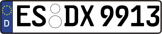 ES-DX9913