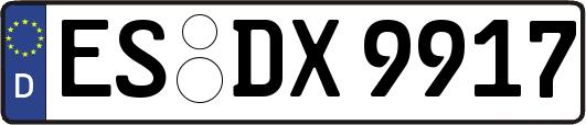 ES-DX9917