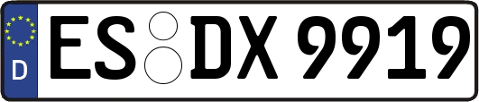 ES-DX9919