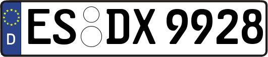 ES-DX9928