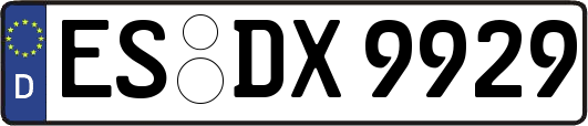 ES-DX9929