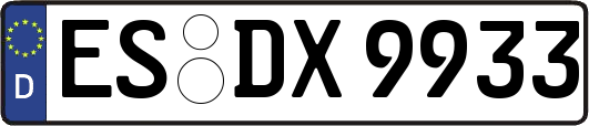 ES-DX9933