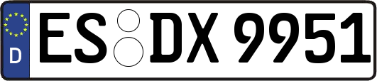 ES-DX9951