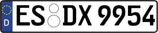 ES-DX9954