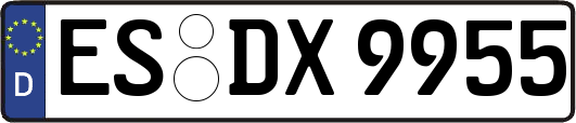 ES-DX9955