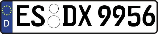 ES-DX9956