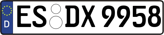 ES-DX9958