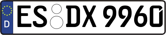 ES-DX9960