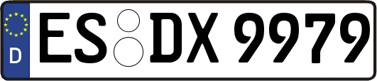 ES-DX9979