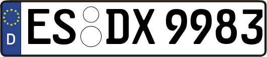ES-DX9983