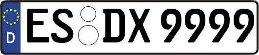 ES-DX9999