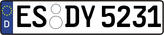 ES-DY5231