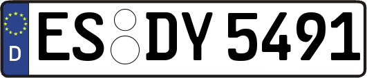 ES-DY5491