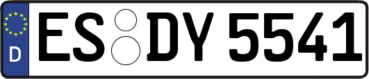ES-DY5541