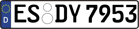 ES-DY7953