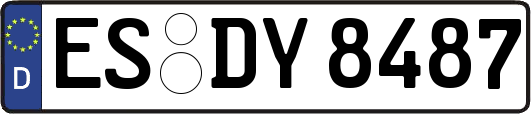 ES-DY8487