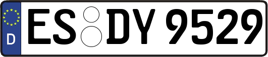 ES-DY9529