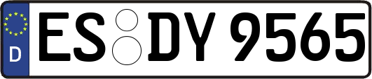ES-DY9565