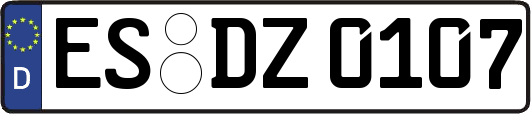 ES-DZ0107