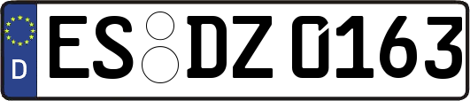 ES-DZ0163