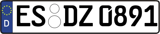 ES-DZ0891