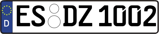 ES-DZ1002