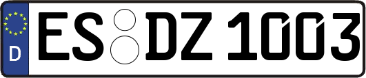 ES-DZ1003