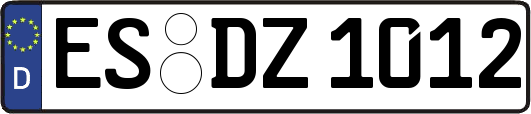 ES-DZ1012