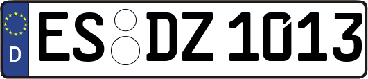 ES-DZ1013