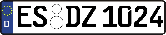 ES-DZ1024