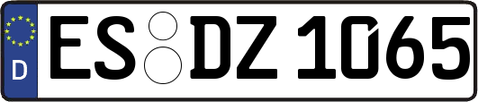 ES-DZ1065