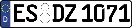 ES-DZ1071