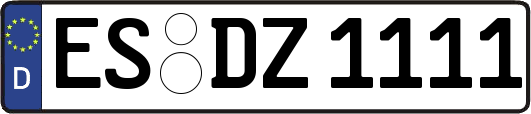 ES-DZ1111