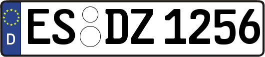 ES-DZ1256