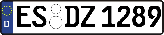 ES-DZ1289