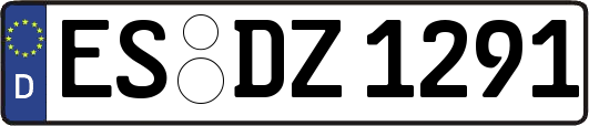 ES-DZ1291