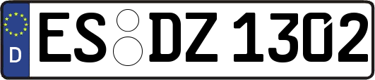 ES-DZ1302