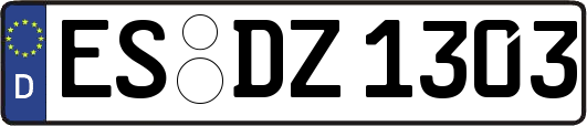 ES-DZ1303