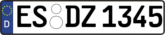 ES-DZ1345