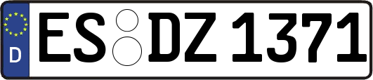 ES-DZ1371