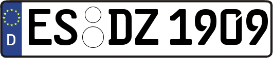 ES-DZ1909