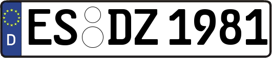 ES-DZ1981