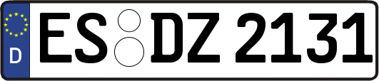ES-DZ2131