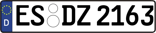ES-DZ2163