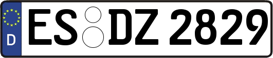 ES-DZ2829
