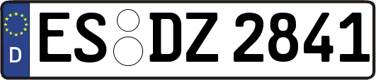 ES-DZ2841